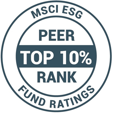 Peer Top 10% Rating