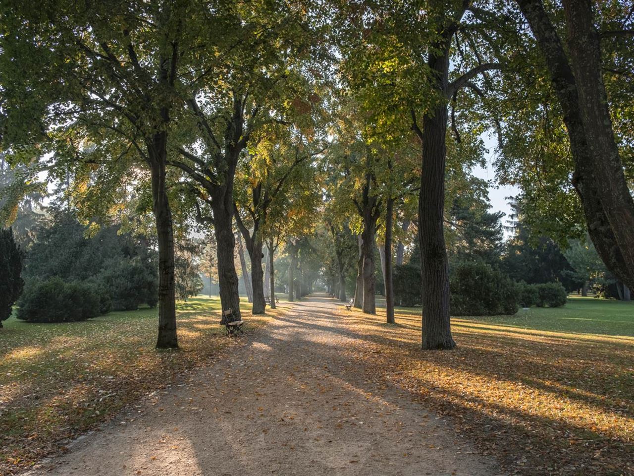 Die Basler Kantonalbank Basler Kantonalbank