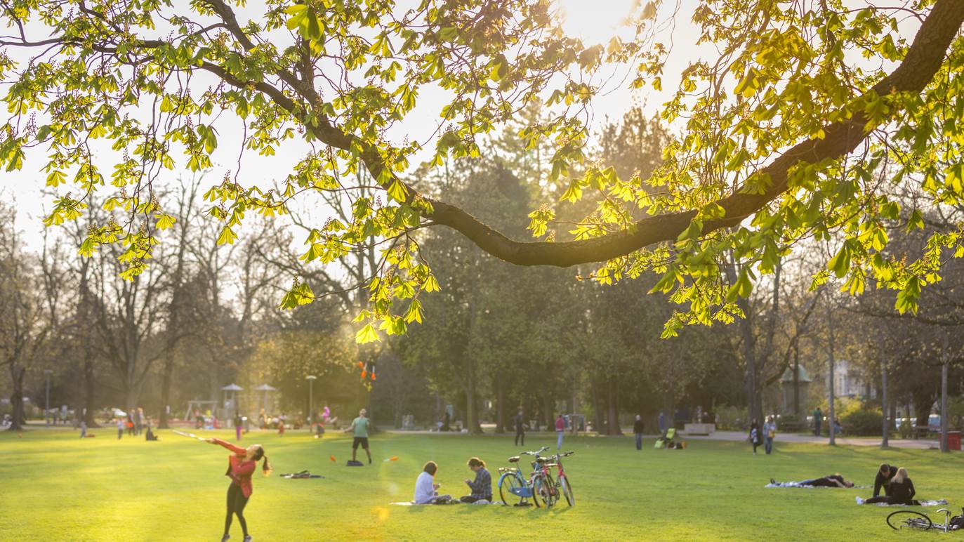 Basel Park im Grünen mit Menschen