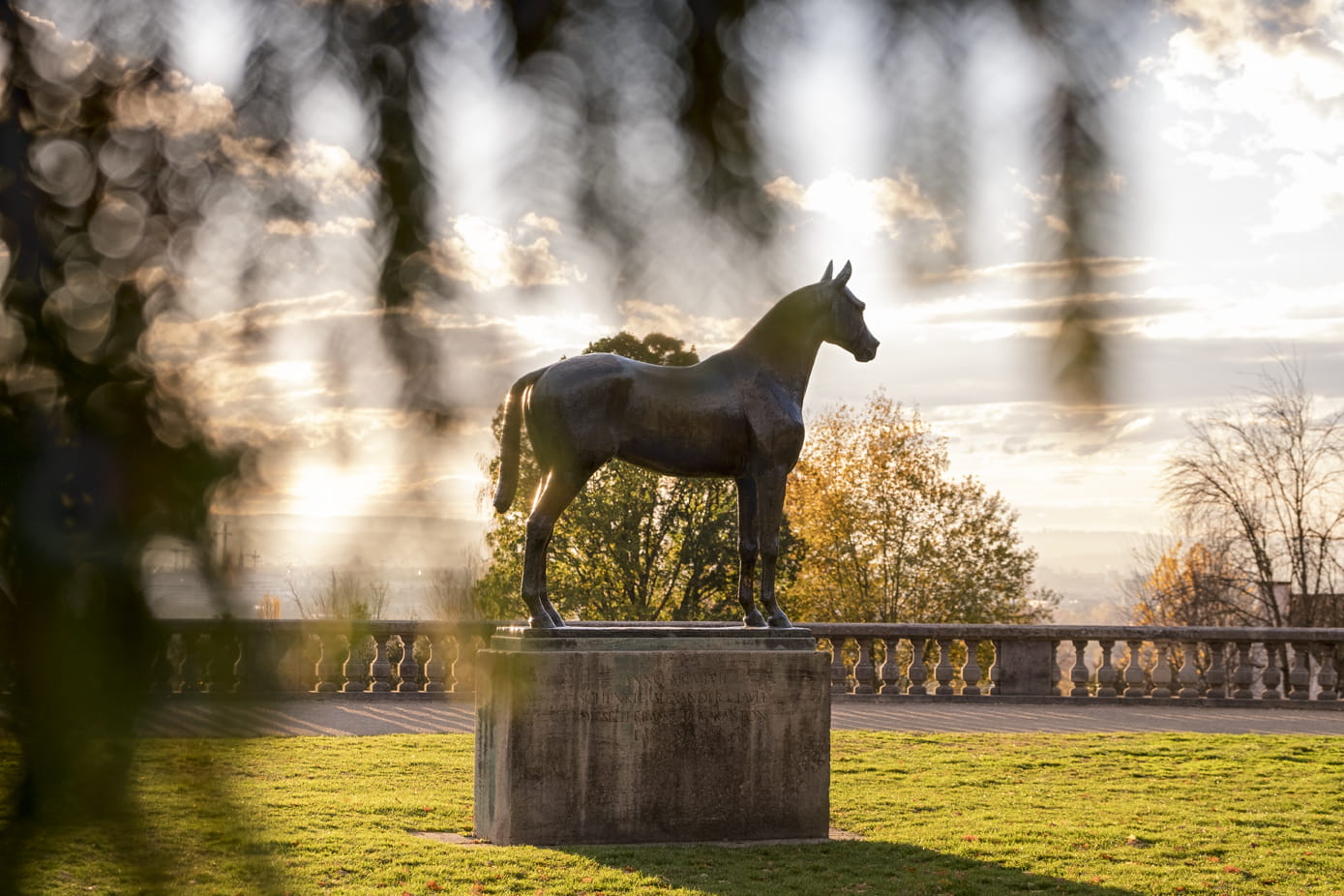 Basel im Park im Grünen mit Pferd