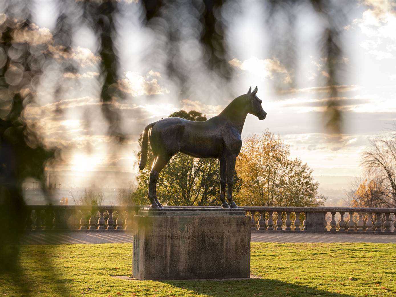 Basel im Park im Grünen mit Pferd
