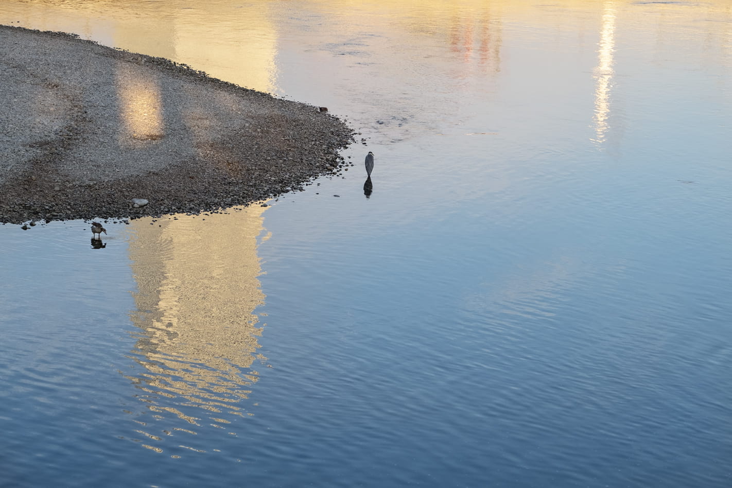Basel Reinbord mit Vogel