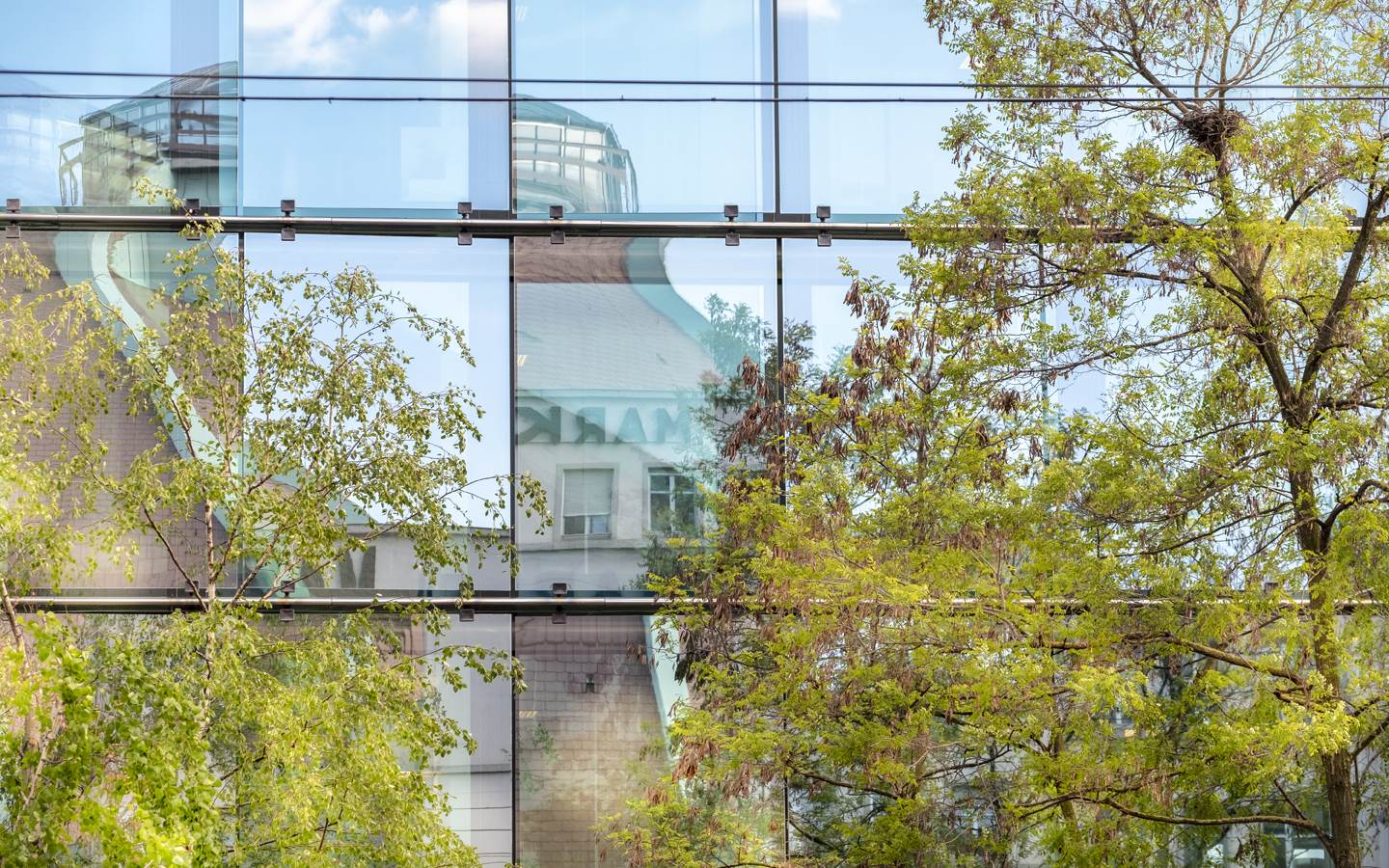 Basel verspiegelt Markthalle