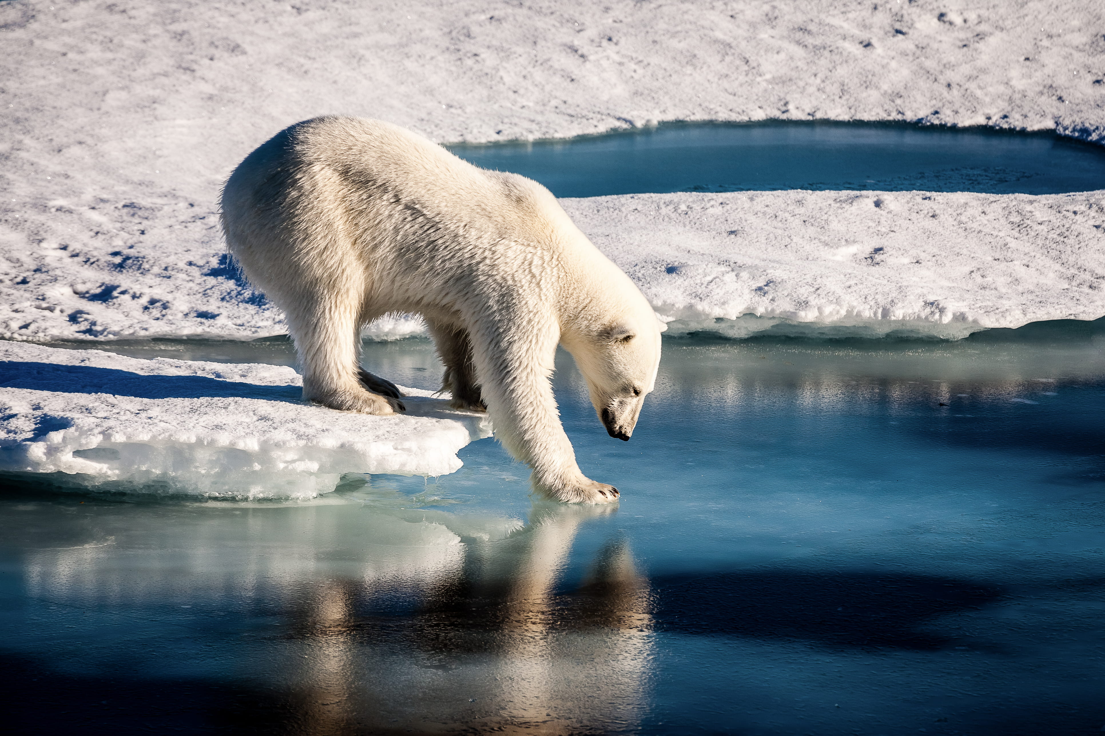 Start der UN-Klimakonferenz in Katowice