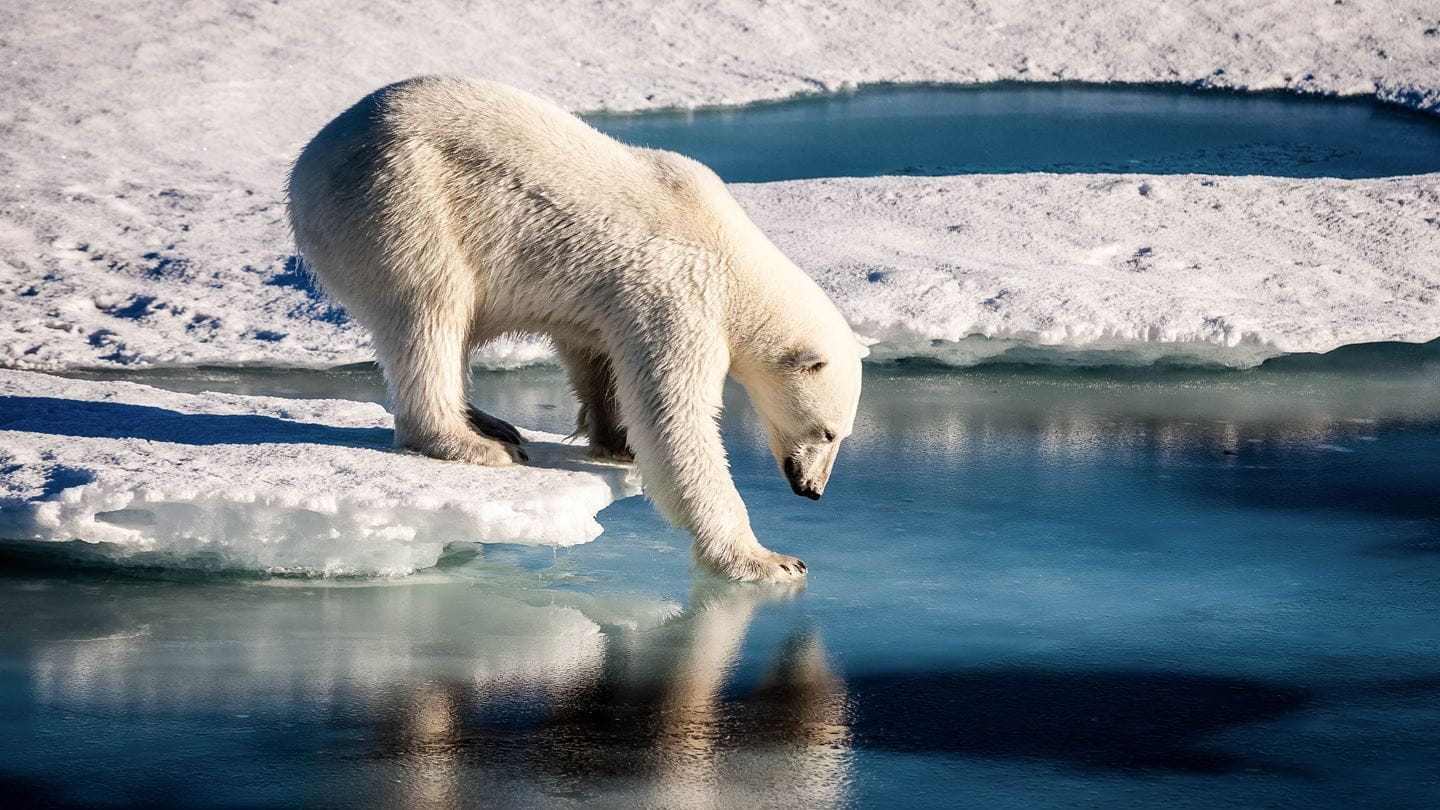 Start der UN-Klimakonferenz in Katowice