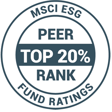 Peer Top 20% Rating